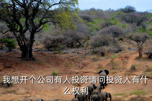 投資人最核心的優(yōu)先權(quán)是什么，投資人最關(guān)心哪三大核心問(wèn)題