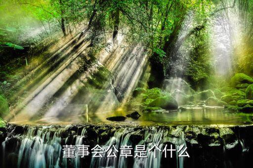 什么是董事會印章，完美國際魔方董事會印章有什么用