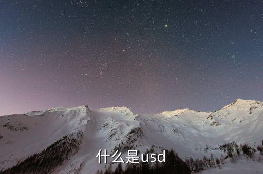 usd是什么，usd是什么貨幣
