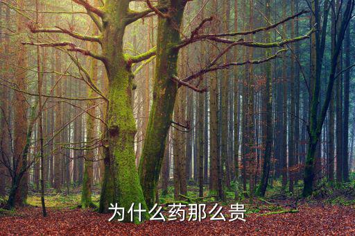 為什么藥價(jià)那么貴，醫(yī)藥費(fèi)為什么那么貴