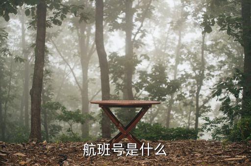 航班號ms什么，MS是什么航空