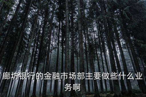 齊飛金融主營什么業(yè)務(wù)，堅固金融都有什么業(yè)務(wù)實(shí)力怎么樣