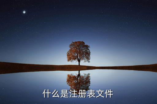 什么是注冊制，化妝品注冊是什么