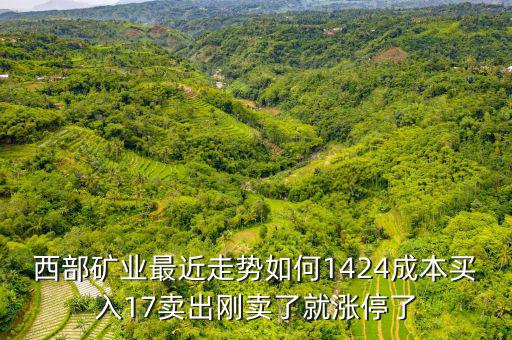西部礦業(yè)最近走勢(shì)如何1424成本買(mǎi)入17賣(mài)出剛賣(mài)了就漲停了