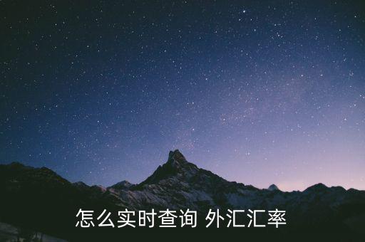怎么實(shí)時(shí)查詢 外匯匯率