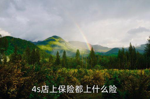 4s店買車都保什么險，誰能告訴我在4s店買的四大險都包括哪些