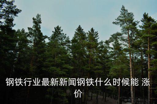 鋼鐵行業(yè)最新新聞鋼鐵什么時候能 漲價(jià)