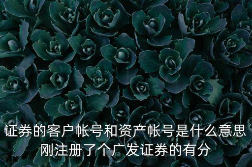 申萬宏源資產(chǎn)賬號(hào)是什么，我知道瀘A股東的賬號(hào)怎么查資金賬號(hào)申萬宏源
