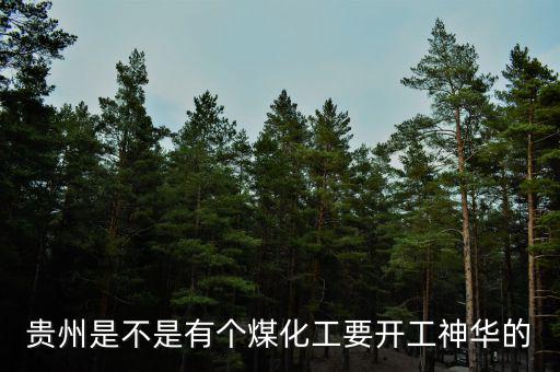 深圳尚榮在貴州有什么項(xiàng)目，深圳市尚榮醫(yī)療股份有限公司的介紹