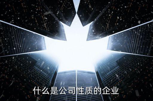中期集團(tuán)是什么性質(zhì)的企業(yè)，集團(tuán)是什么性質(zhì)的公司