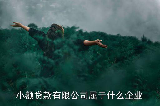 德善小額貸款是什么企業(yè)，德盛行小額貸款是不是真的