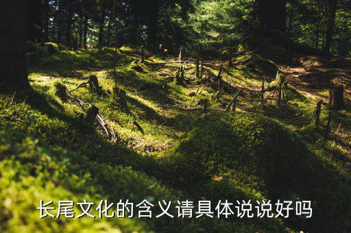 長尾文化的含義請(qǐng)具體說說好嗎
