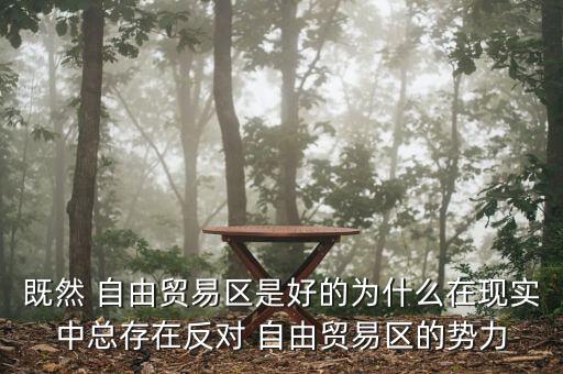 既然 自由貿(mào)易區(qū)是好的為什么在現(xiàn)實(shí)中總存在反對(duì) 自由貿(mào)易區(qū)的勢力