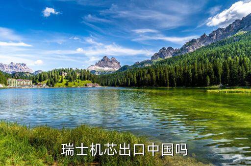 瑞士以什么出口為主，瑞士主要運(yùn)輸方式是什么