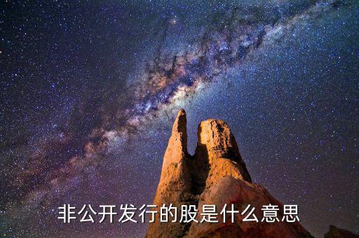 非公開發(fā)行優(yōu)先股什么意思，非公開發(fā)行的股是什么意思