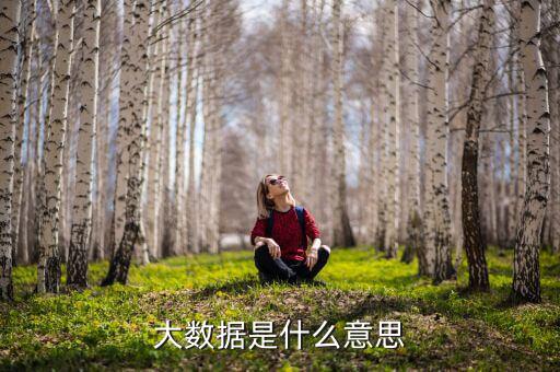 大數(shù)據(jù)什么意思，簡(jiǎn)述什么是大數(shù)據(jù)