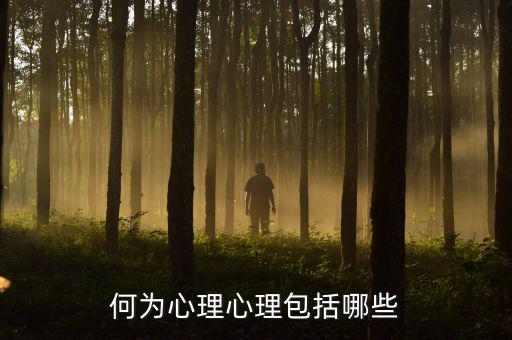 什么是心理層面，人的心理境界分幾個層次