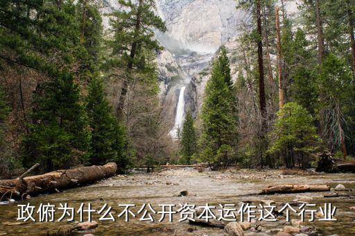 資本運(yùn)作為什么不公開，政俯為什么不公開資本運(yùn)作這個行業(yè)