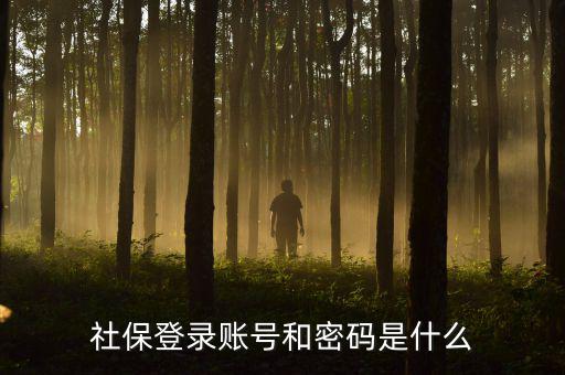 社保查詢個人賬戶密碼是什么，社保登錄賬號和密碼是什么