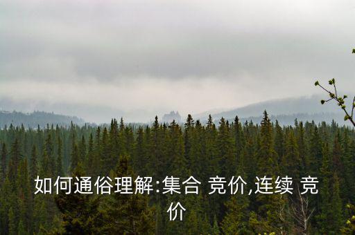 競(jìng)價(jià)易怎么樣,競(jìng)價(jià)交易:買(mǎi)賣(mài)雙方通過(guò)交易市場(chǎng)系統(tǒng)進(jìn)行競(jìng)價(jià)