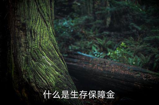 什么是生存保險金，什么是生存保障金
