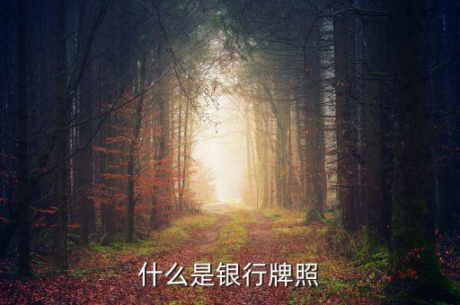 銀行牌照是什么，什么是銀行牌照