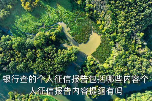個人征信查詢都查什么，個人征信擔(dān)保審查都查什么