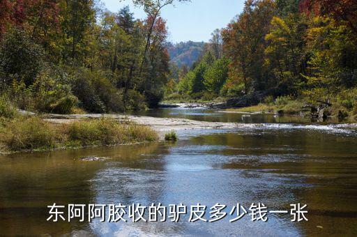 東阿阿膠股2012年是什么價位，誰知道山東東阿阿膠股份有限公司生產的補血膏多少錢一平300克的