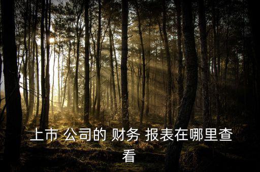  上市 公司的 財(cái)務(wù) 報(bào)表在哪里查看