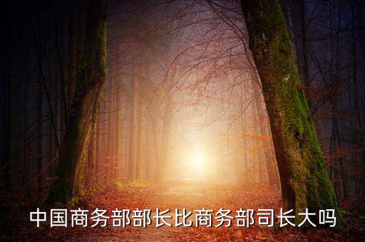 商務(wù)部部長什么級(jí)別，商務(wù)部部長多大的官