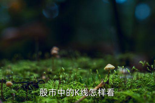 k線怎么看趨勢,股市動(dòng)態(tài)分析