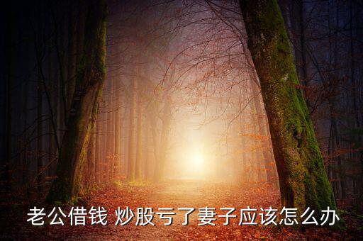 老公炒股賠錢我怎么說(shuō),股市有風(fēng)險(xiǎn)入市需謹(jǐn)慎