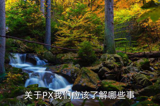 px項目是干什么的，關于PX我們應該了解哪些事
