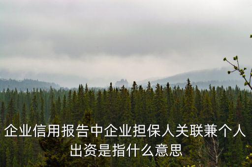 擔保人關聯(lián)是什么意思，企業(yè)征信中 擔保人關聯(lián)是什么意思