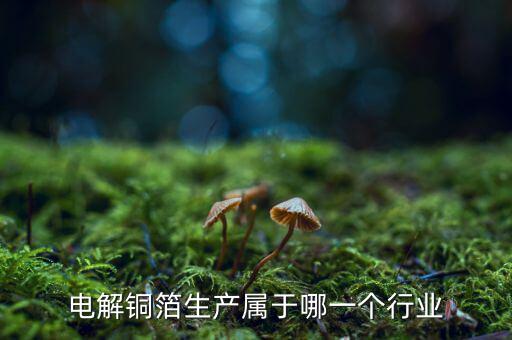 電子銅箔屬于什么行業(yè)，電解銅箔生產(chǎn)屬于哪一個行業(yè)