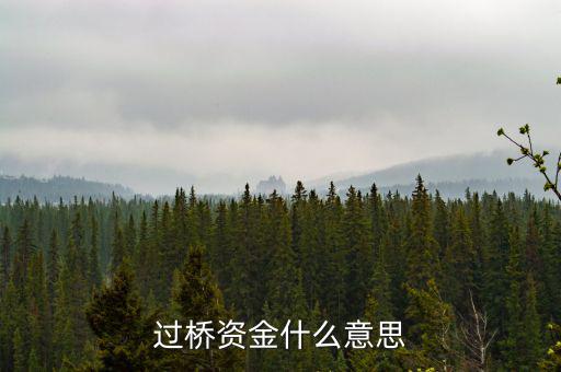 什么叫過(guò)橋資金，什么叫做過(guò)橋資金