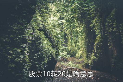 10送20的股票什么意思，股票10轉(zhuǎn)20是什么意思