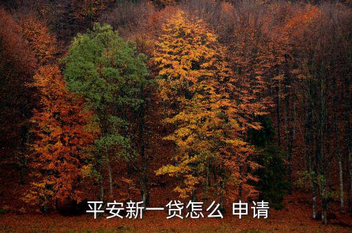  平安新一貸怎么 申請(qǐng)