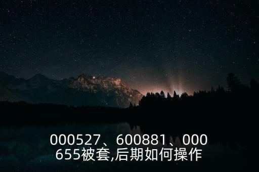 000527、600881、000655被套,后期如何操作
