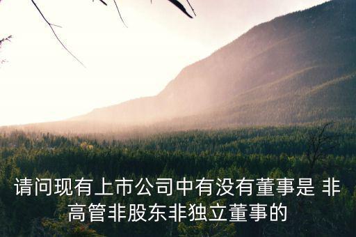 什么是非獨(dú)立董事，什么叫執(zhí)行董事非執(zhí)行董事和獨(dú)立非執(zhí)行董事
