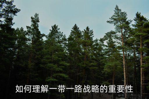 中國為什么要搞一帶一路，當代國際社會的知識分析我國為什么要提出一帶一路的倡