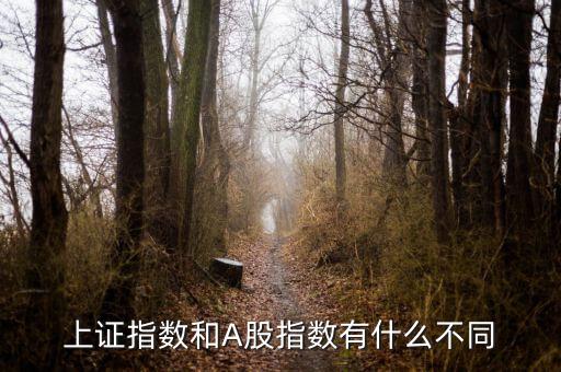 上證指數(shù)和A股什么區(qū)別，上證指數(shù)和A股指數(shù)有什么不同
