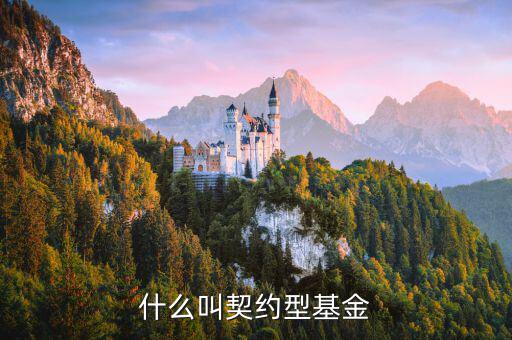 什么是合同型基金，什么叫契約型基金