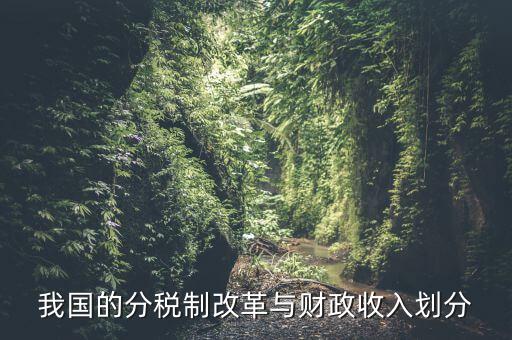 中國財政為什么會分權(quán)，西方的財政分權(quán)理論是否適合中國為什么