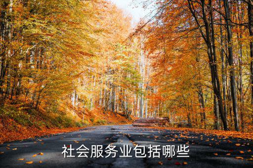 社區(qū)服務(wù)業(yè)由什么組成，社區(qū)服務(wù)包括居委會(huì)