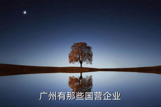 廣州國企股有什么，廣州有哪些大型國企