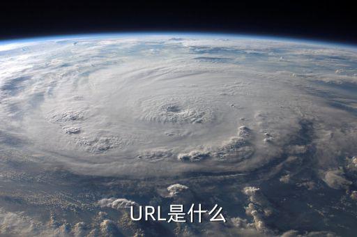 久其費控url是什么，URL是什么意思