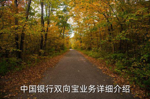 中行雙向?qū)毷鞘裁?，中國銀行雙向?qū)殬I(yè)務(wù)詳細(xì)介紹