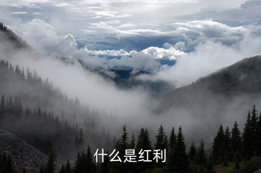 什么是全球化紅利，紅利是指什么意思