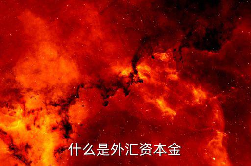 什么叫外匯資本金結(jié)匯，什么是資本金結(jié)匯